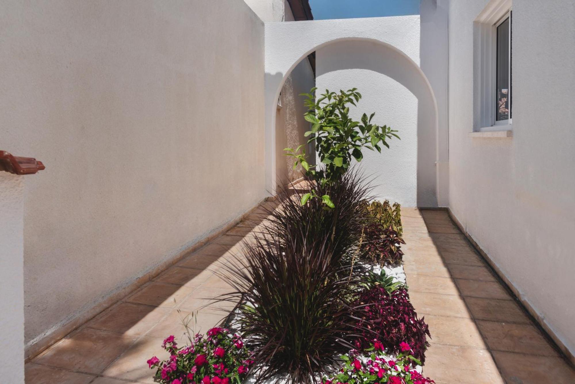 Ferienhaus Phaedrus Living Luxury Botanic *